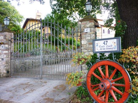 Contattaci: siamo a tua disposizione